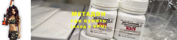 прущие грибы Аркадак