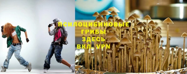 прущие крисы Алзамай