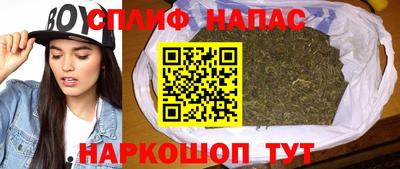 бошки Новодвинск