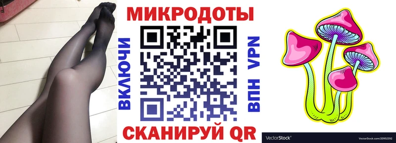 наркота  Феодосия  Псилоцибиновые грибы Cubensis 