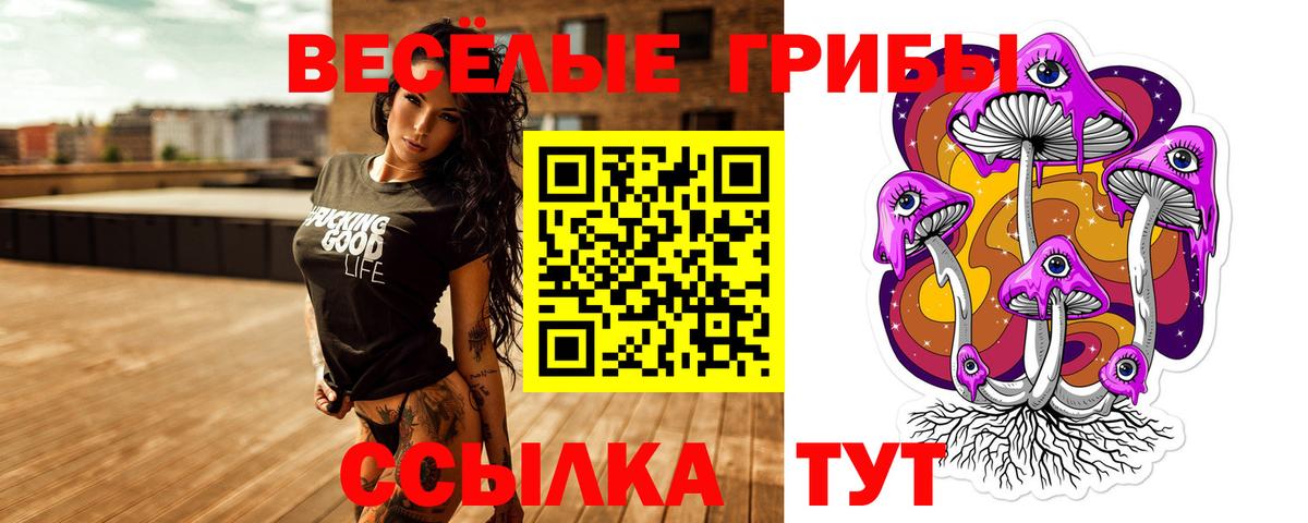 даркнет сайт  Вход с VPN  Галлюциногенные грибы Psilocybine cubensis  Феодосия  Галлюциногенные грибы прущие грибы 
